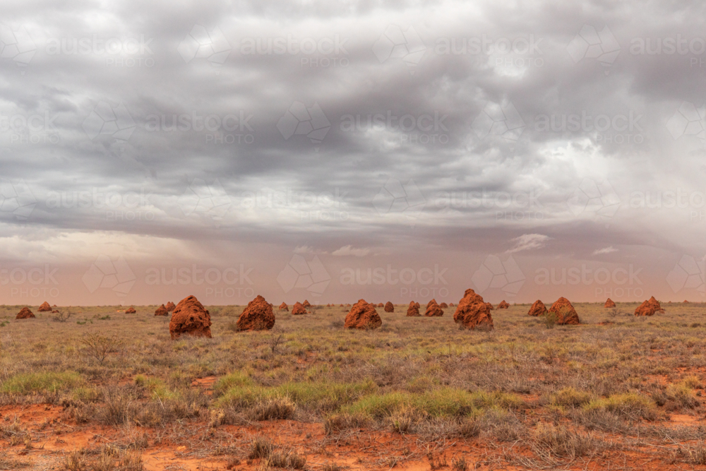 Dark stormy sky over termite mounds near Onslow at the commencement of Cyclone Sean - Australian Stock Image