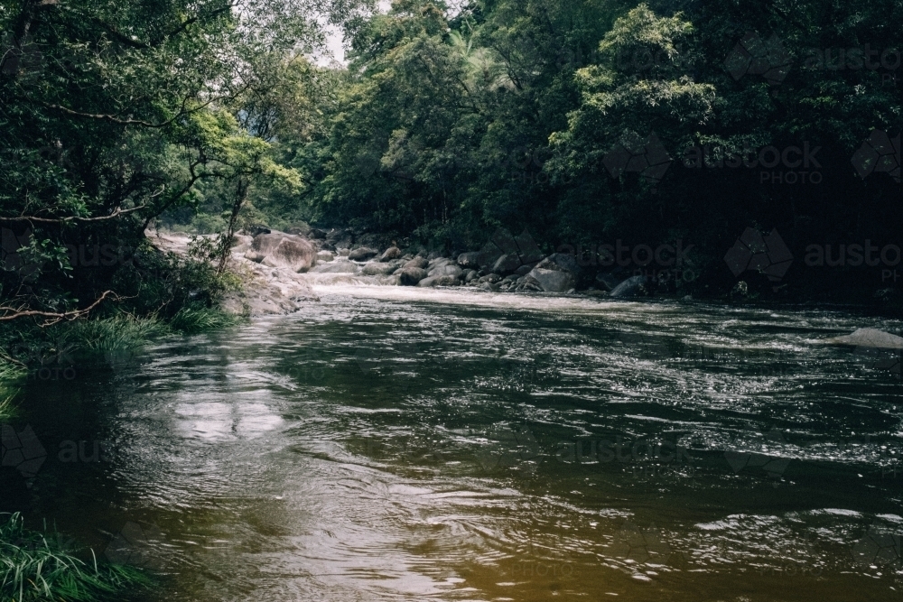 Dark trees beside river in Mossman Gorge - Australian Stock Image