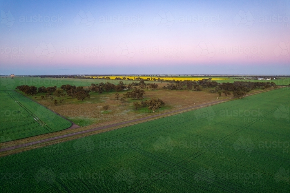 Dawn colours of the sky looking over the Mallee crops. - Australian Stock Image
