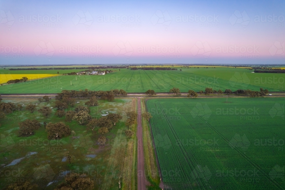 Dawn colours of the sky looking over the Mallee crops. - Australian Stock Image
