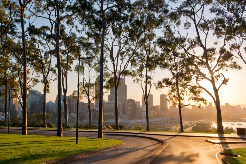 Dawn Kings Park Perth view through gum trees to city beyond - Australian Stock Image