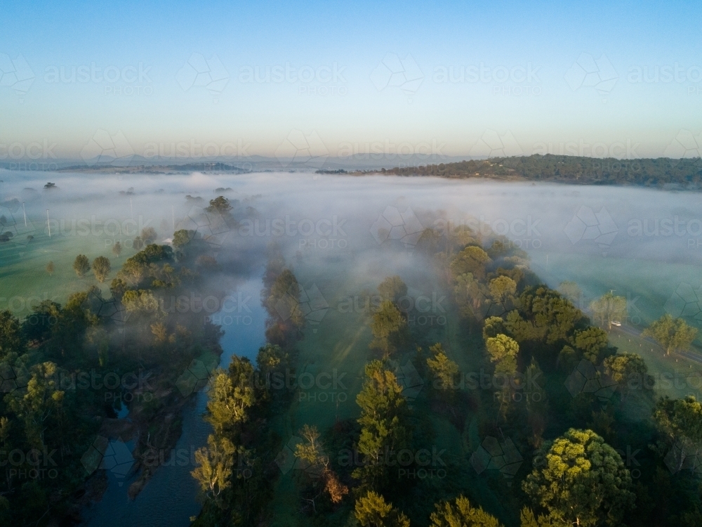 Dawn light on treetops with river and land hidden by fog - Australian Stock Image