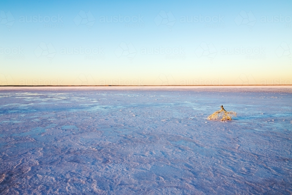 dawn light over dry salt lake - Australian Stock Image