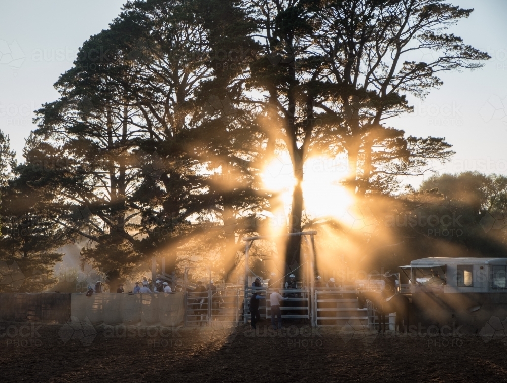 Dawn sunburst of light through trees and dust at country rodeo - Australian Stock Image