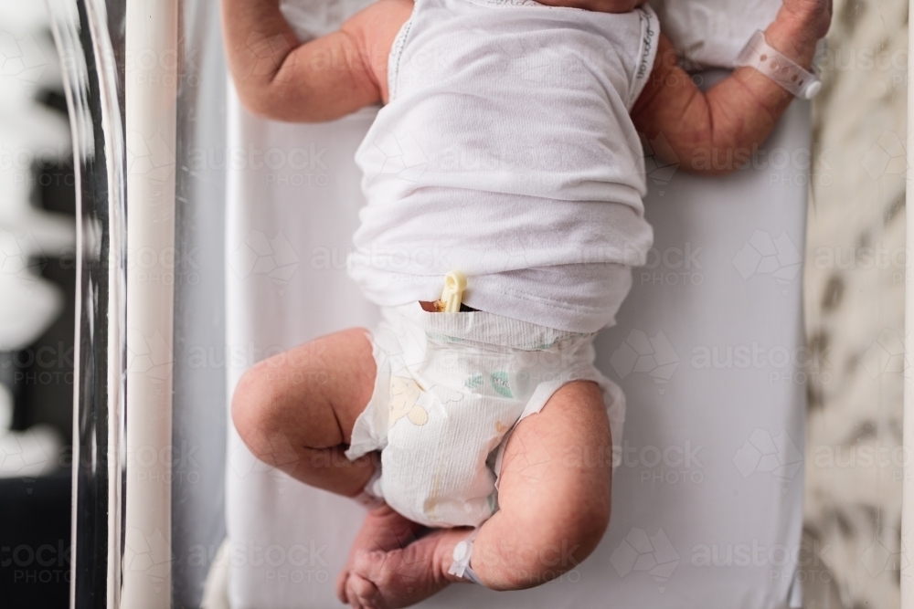 Day old newborn baby in hospital cot - Australian Stock Image