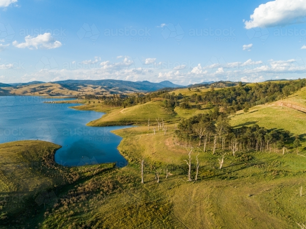 Dead trees beside water supply dam, beautiful sunlit country landscape - Australian Stock Image
