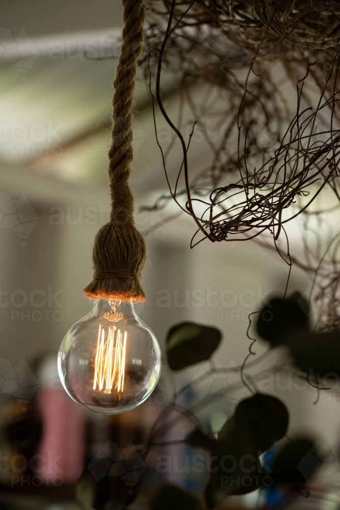 Decorative tungsten bulb with large filaments hanging from a rope fitting with blurred background - Australian Stock Image