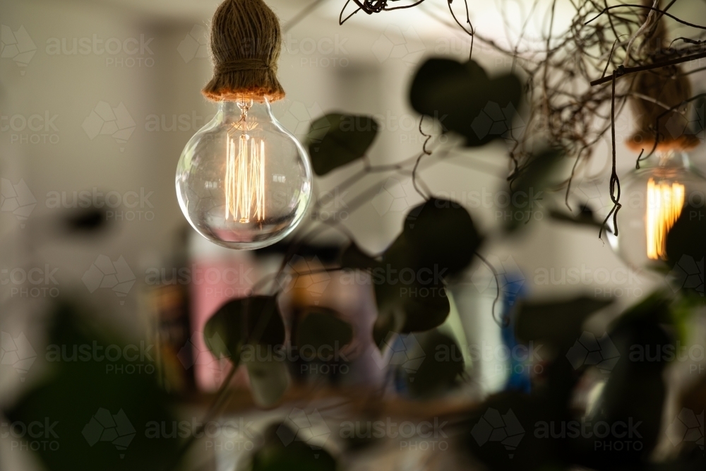Decorative tungsten bulb with large filaments with blurred background - Australian Stock Image