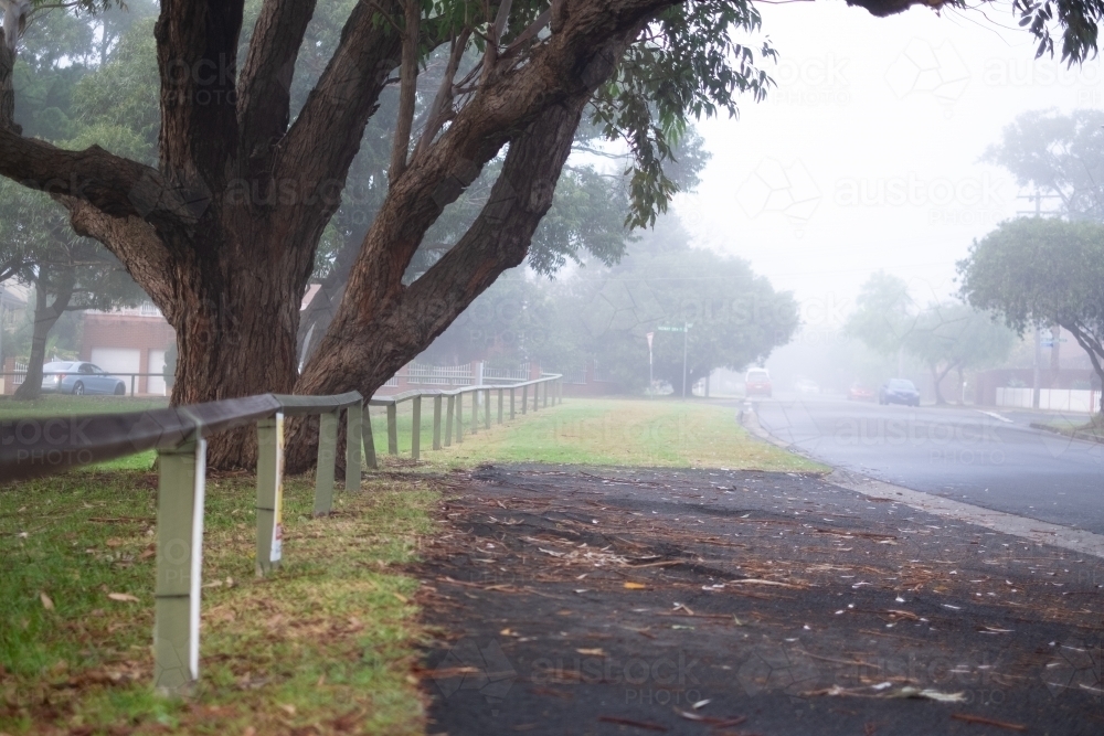dense fog in the suburbs - Australian Stock Image