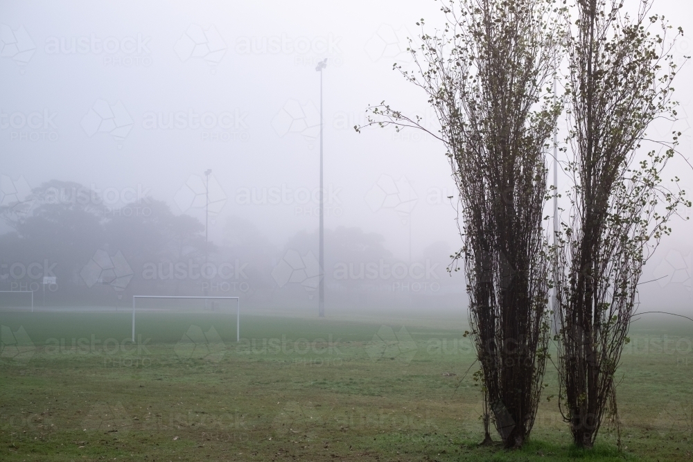 dense fog in the suburbs - Australian Stock Image
