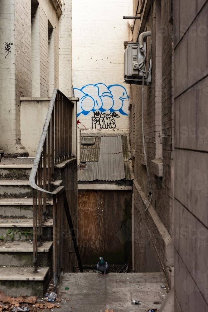 Derelict alleyway with rubbish and a pigeon - Australian Stock Image