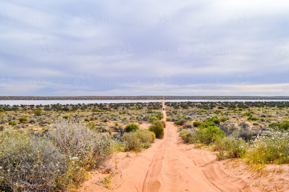 Desert track into the distance - Australian Stock Image