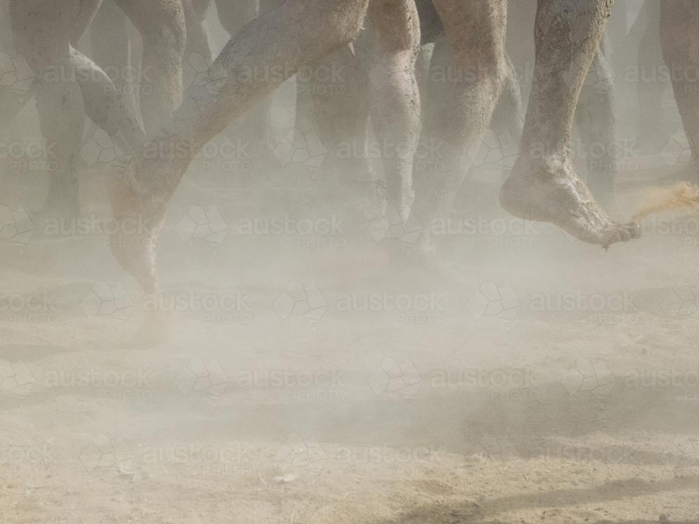 Detail of group muddy feet and legs dancing - Australian Stock Image