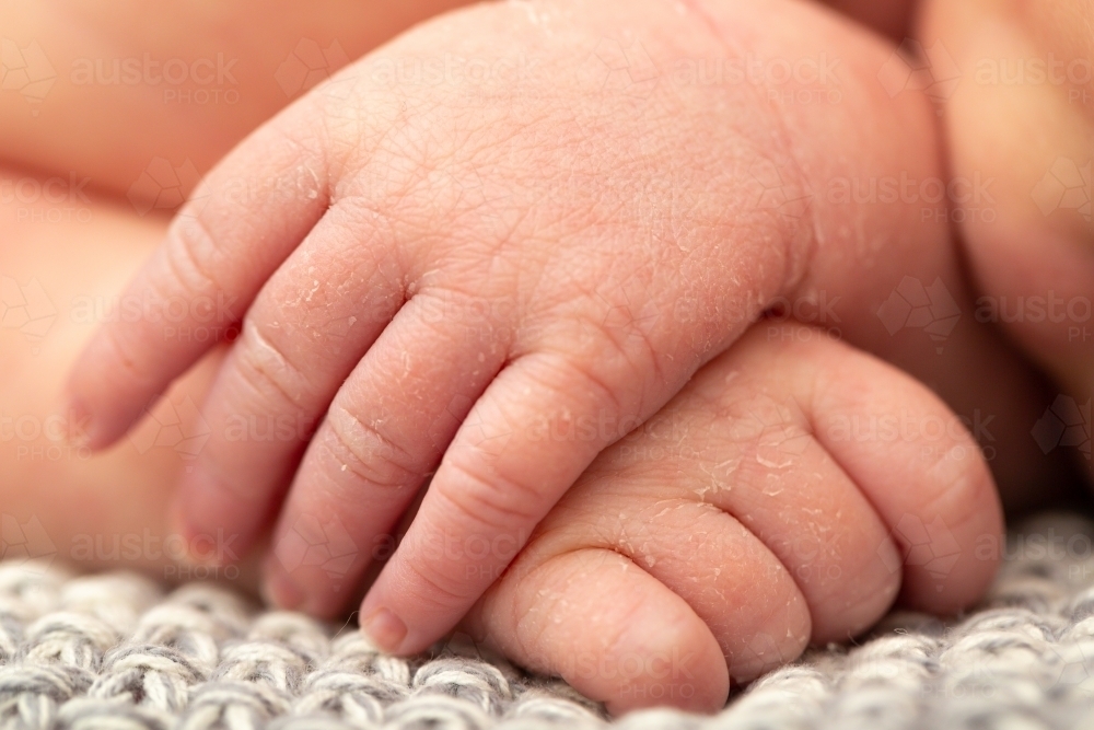Detail of newborn baby's hands - Australian Stock Image