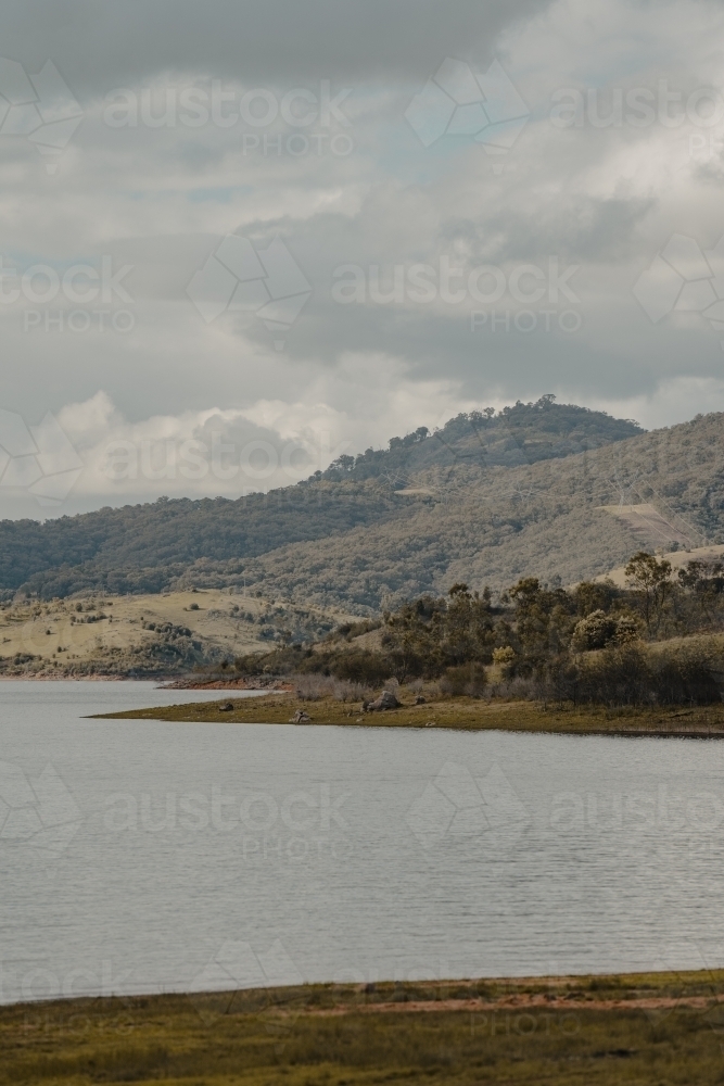 Detail of the water's edge at Blowering Reservoir - Australian Stock Image