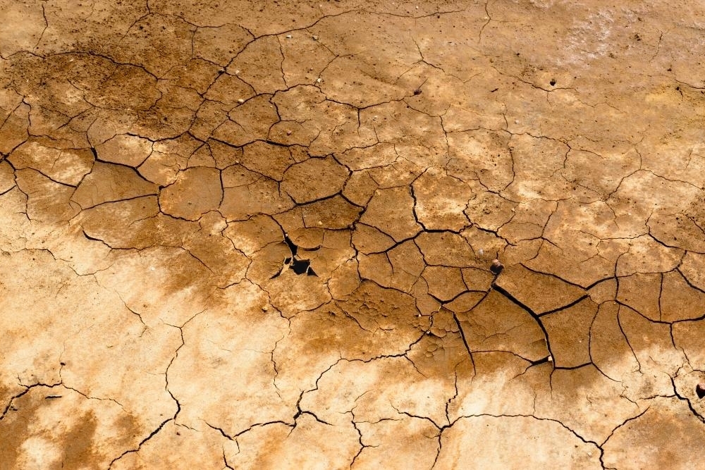 Detail shot of cracked brown and cream mud and clay - Australian Stock Image