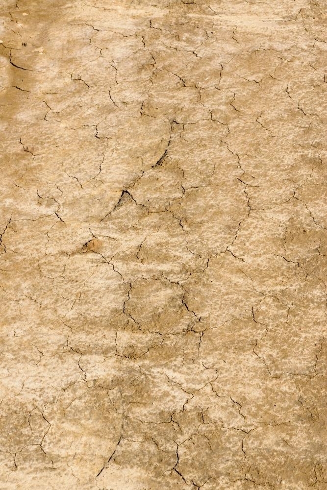 Detail shot of cracked dried mottled mud and clay - Australian Stock Image