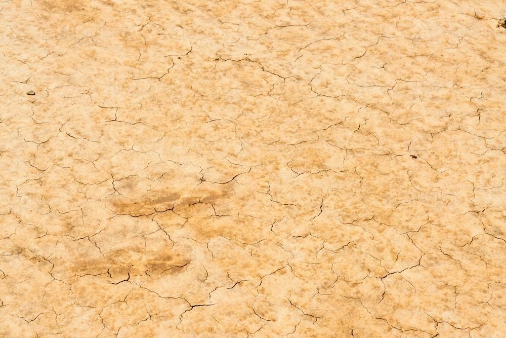 Detail shot of cracked dried mottled mud and clay - Australian Stock Image