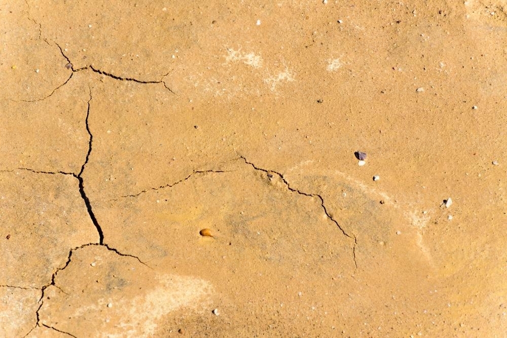 Detail shot of cracked yellow mud - Australian Stock Image
