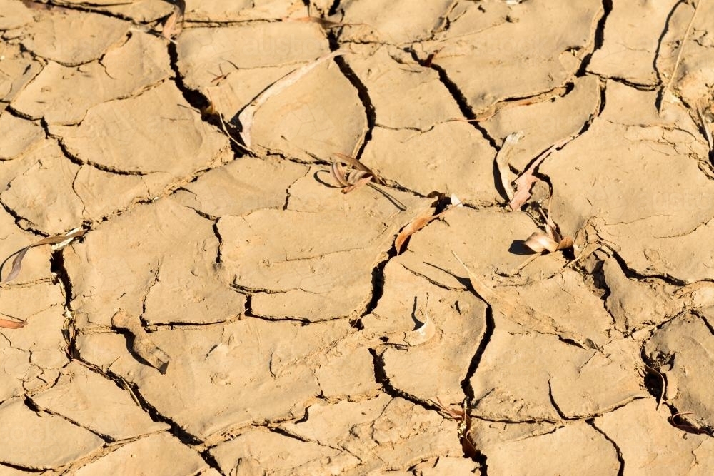 Detail shot of cracked yellow mud - Australian Stock Image