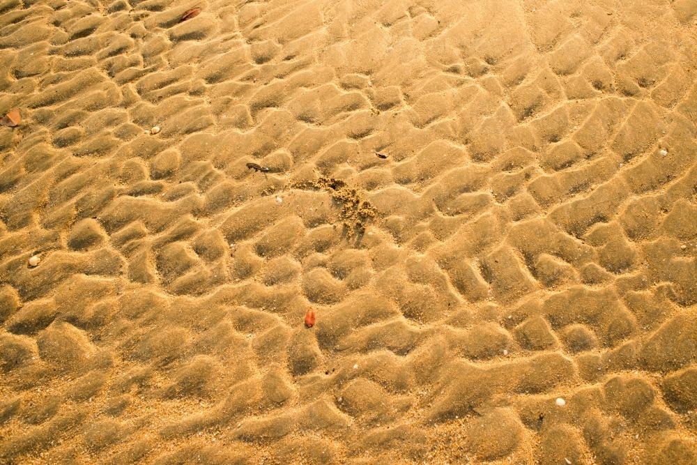 Detail shot of heavily patterned yellow beach sand with orange leaf - Australian Stock Image