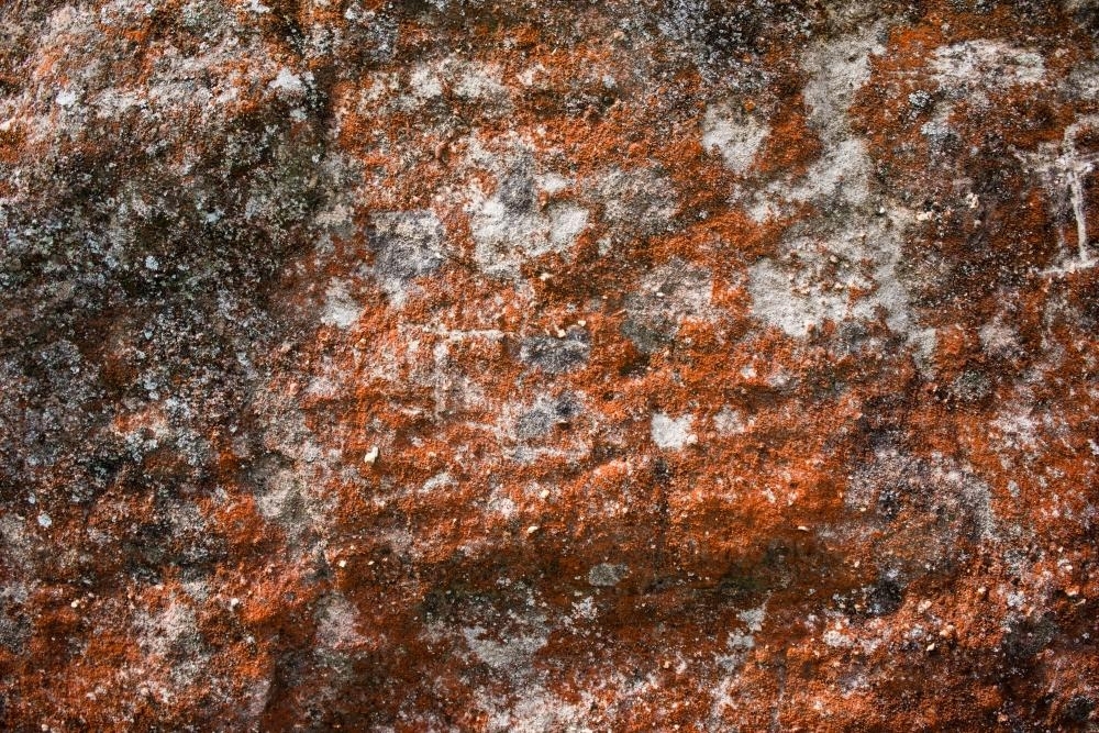 Detail shot of heavily textured and patterned rock with bright orange lichens - Australian Stock Image
