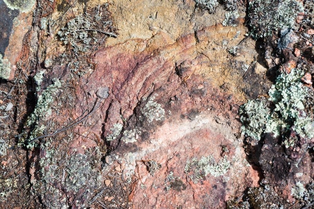 Detail shot of heavily textured pink and yellow rock with grey lichens - Australian Stock Image