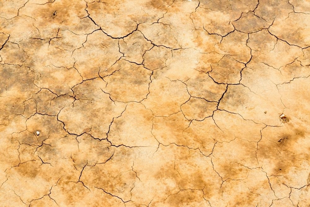 Detail shot of mottled orange and yellow mud and clay that is cracked and peeling - Australian Stock Image