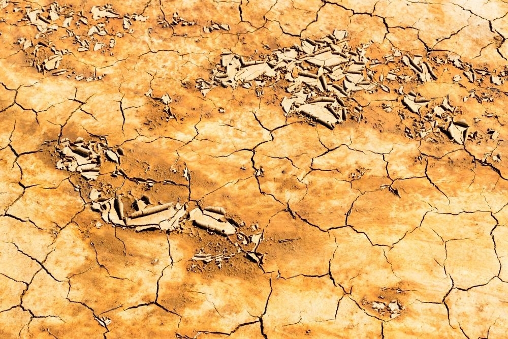 Detail shot of mottled orange and yellow mud and clay that is cracked and peeling - Australian Stock Image