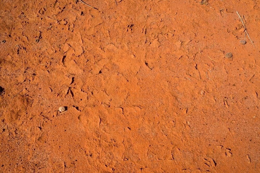 Detail shot of orange mud with animal prints and cracks - Australian Stock Image