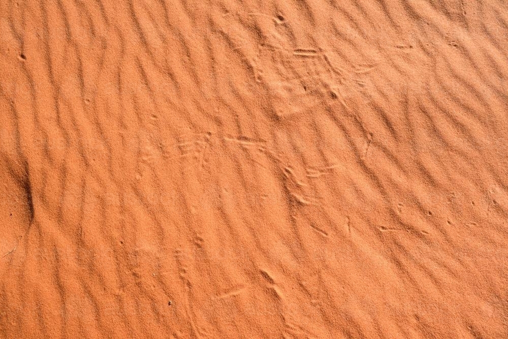 Detail shot of ripples and animal prints in orange desert sand - Australian Stock Image