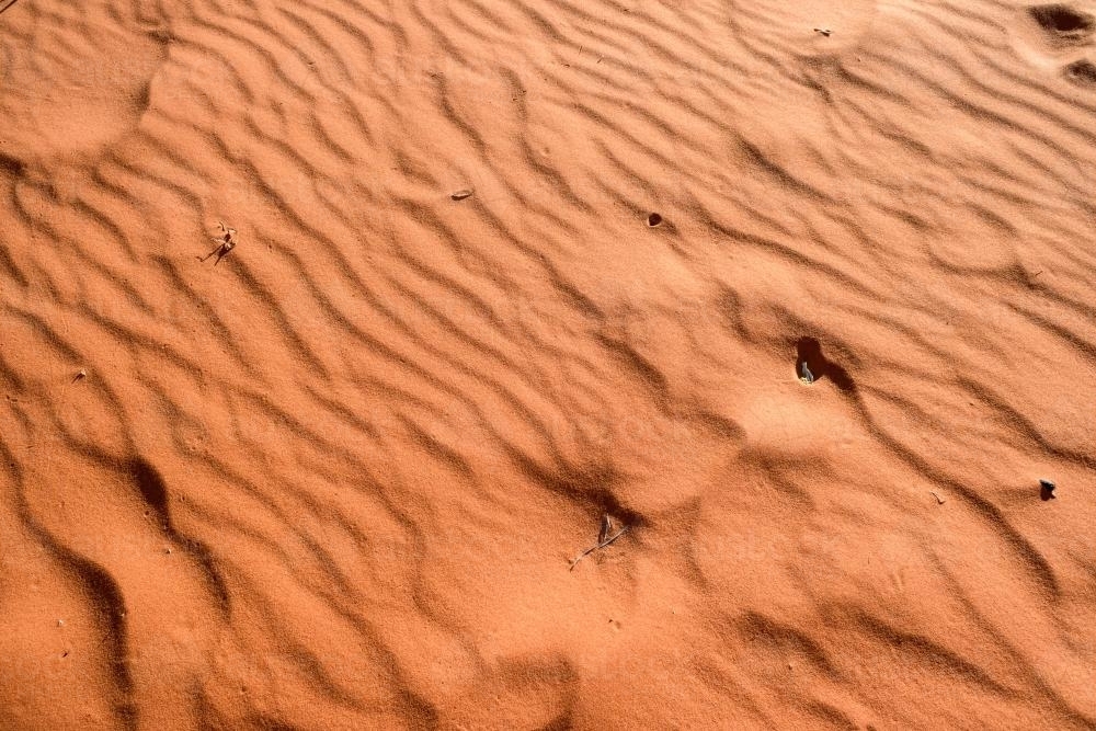 Detail shot of ripples and animal prints in orange desert sand - Australian Stock Image
