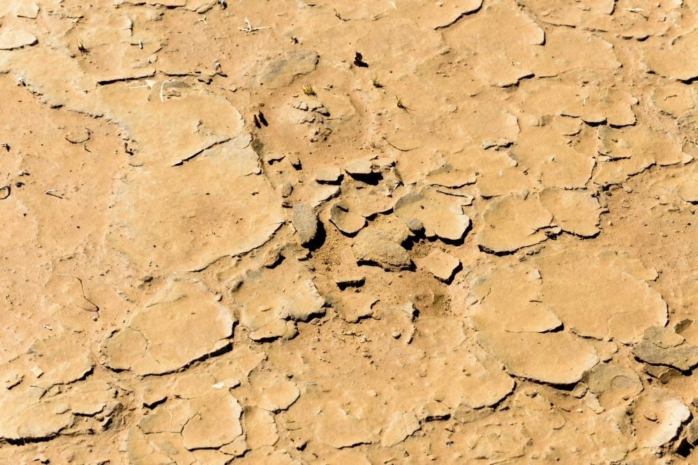 Yello Mud Rocks Image of Detail shot of yellow mud and clay that is cracked and peeling ...