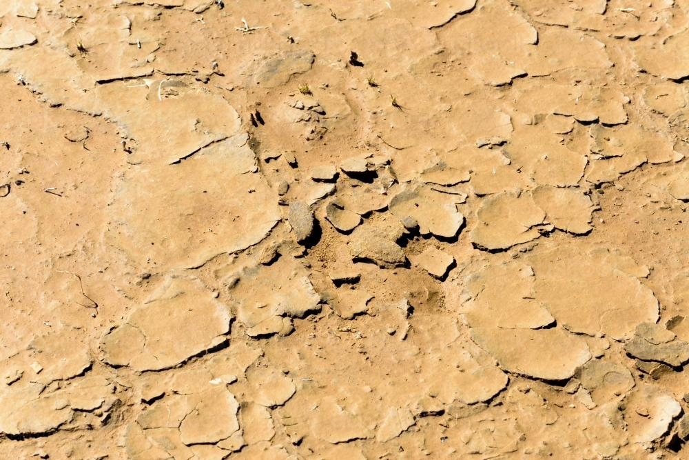 Detail shot of yellow mud and clay that is cracked and peeling - Australian Stock Image