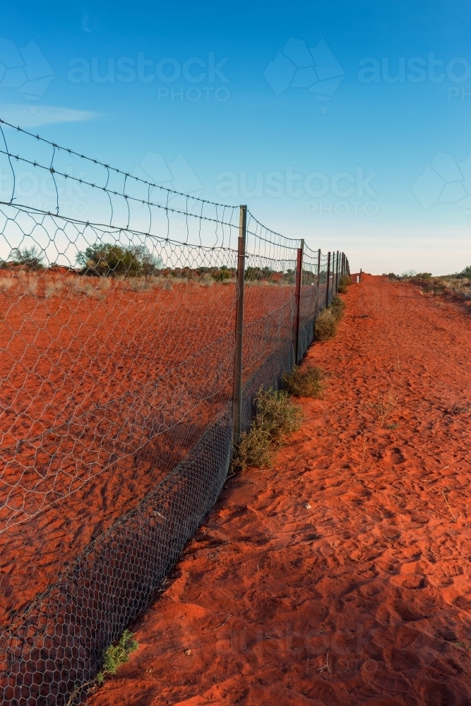 Dingo Fence - Australian Stock Image