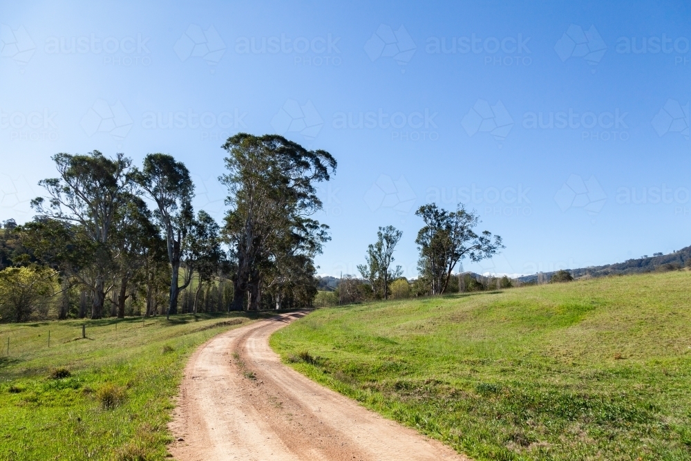 Dirt driveway through farm paddock - Australian Stock Image