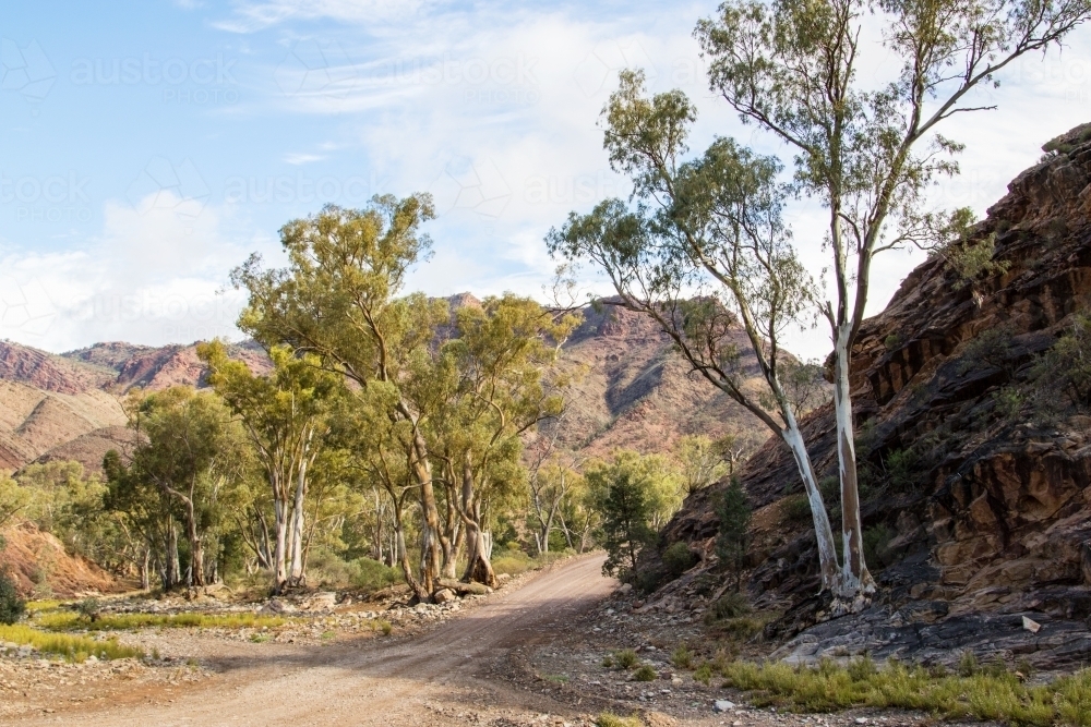 Dirt road and creek crossing - Australian Stock Image