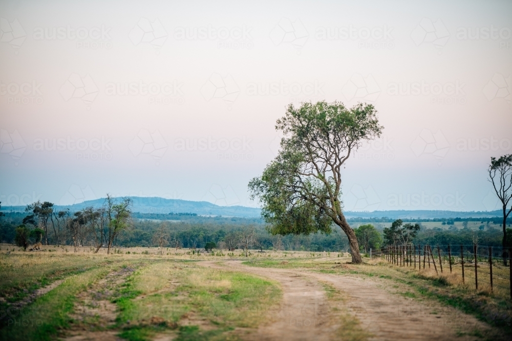dirt road and tree leading into the distant hill with sunset - Australian Stock Image