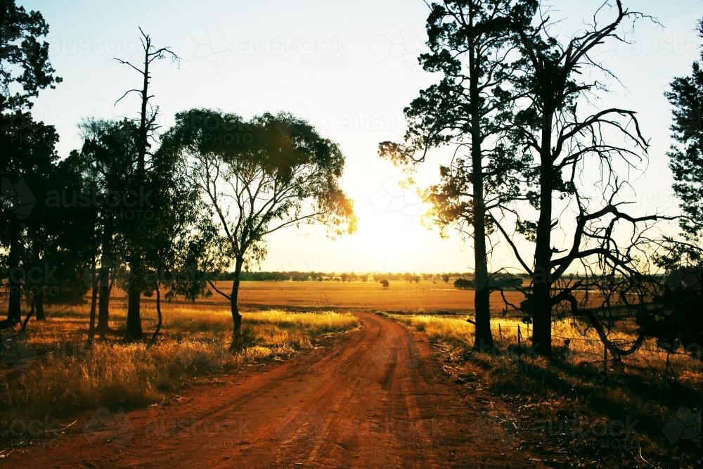 Dirt Road at Sunset - Australian Stock Image