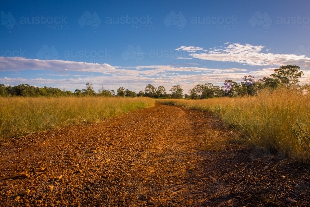 dirt road - Australian Stock Image