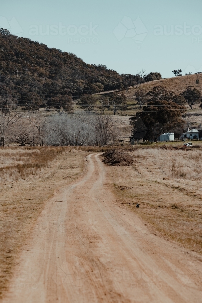 Dirt road driveway leading to a grassy rural property. - Australian Stock Image