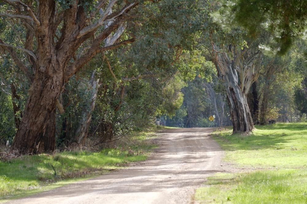 Dirt Road in Country Victoria - Australian Stock Image