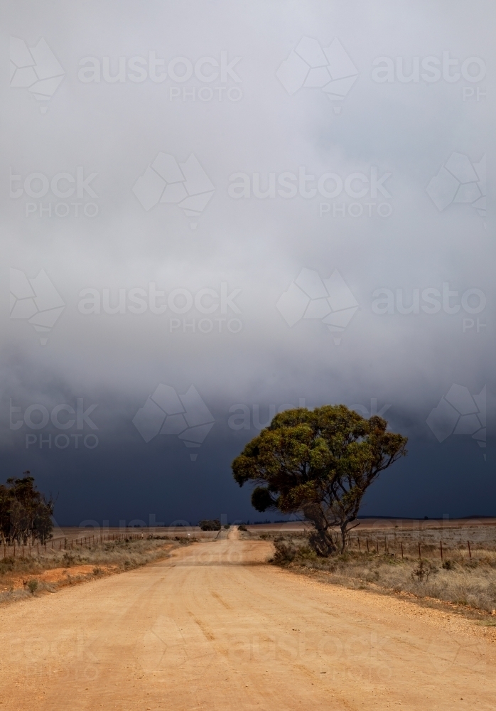 dirt road in rural landscape with approaching storm, vertical - Australian Stock Image