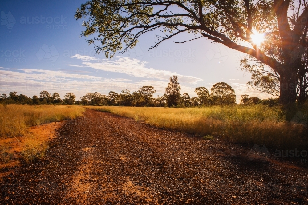 dirt road in rural Qld - Australian Stock Image