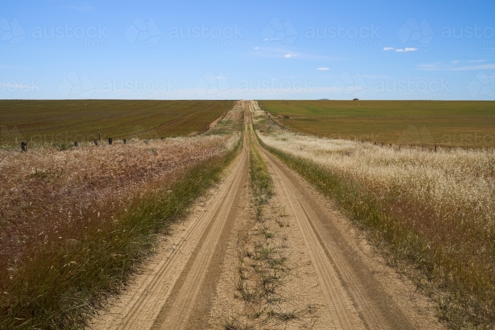 Dirt road in Wimmera Wheatbelt region - Australian Stock Image