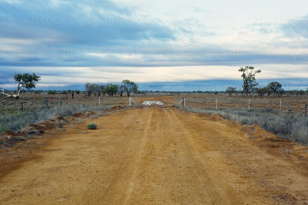 Dirt road leading over cattle grid onto remote property - Australian Stock Image