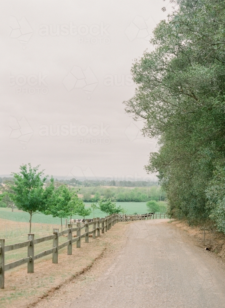 Dirt road next to wooden fence, trees and paddocks - Australian Stock Image