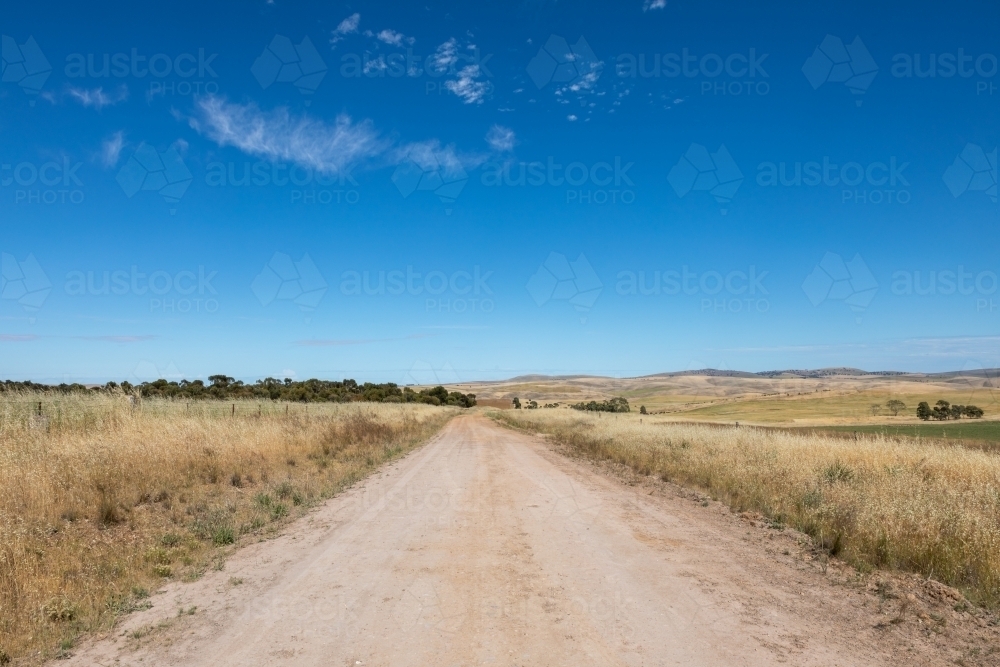 dirt road through farmland - Australian Stock Image