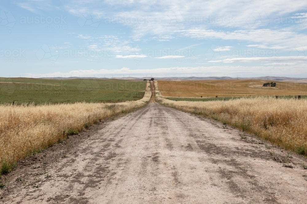 dirt road through farmland - Australian Stock Image