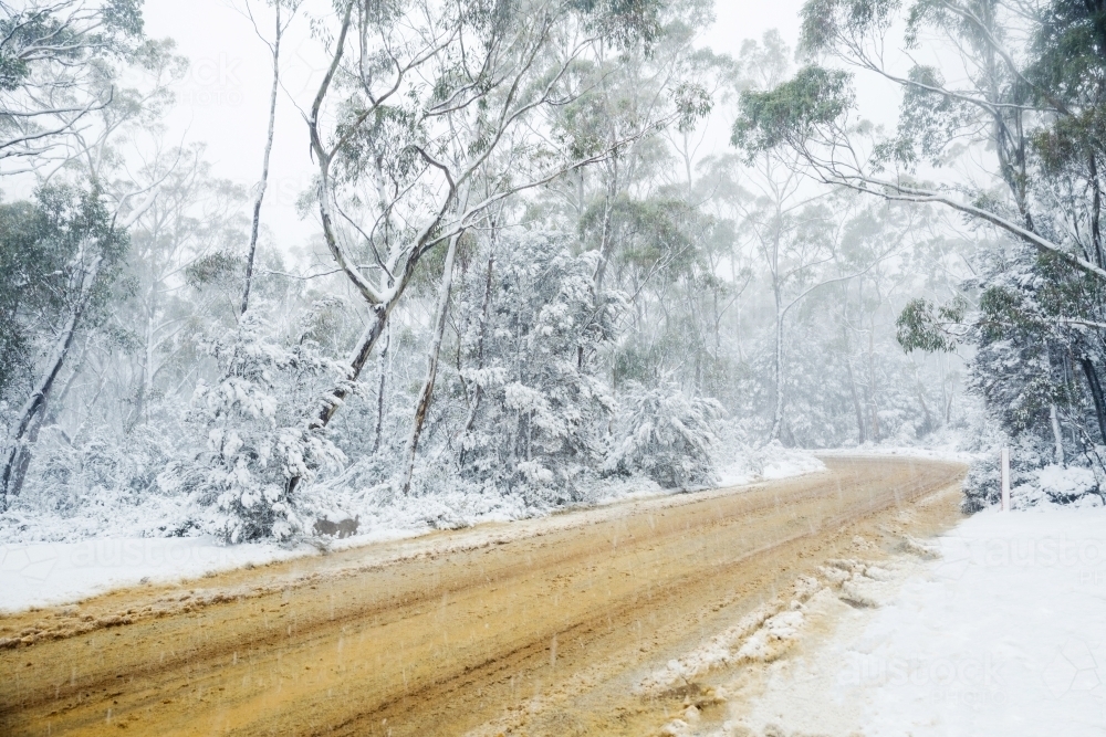 dirt road through snow covered bush land - Australian Stock Image